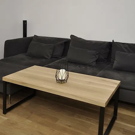 Apartament Zablocie Riverside Wawelofts 公寓