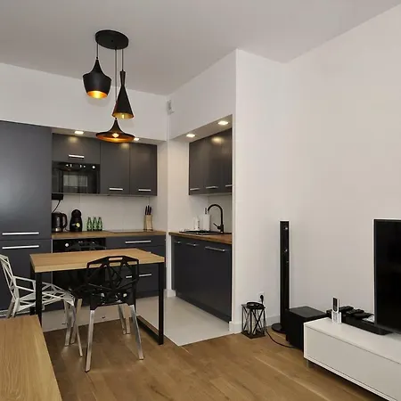 公寓 Apartament Zablocie Riverside Wawelofts *