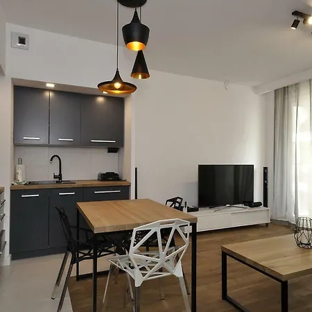 شقة Apartament Zablocie Riverside Wawelofts كراكوفيا